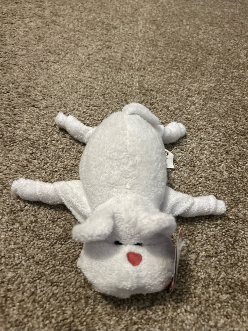 Carnival Cruise Terrycloth Towel Pal